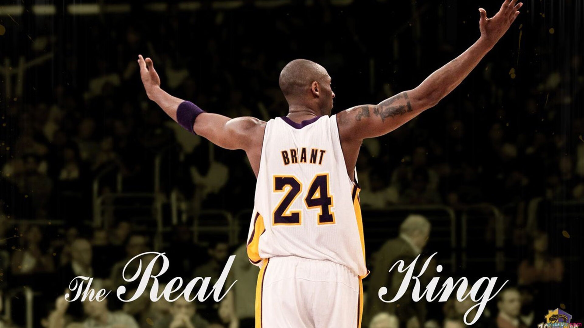 年度焦点之战之夜,范弗利特关键制胜,小人物如何改写命运剧本